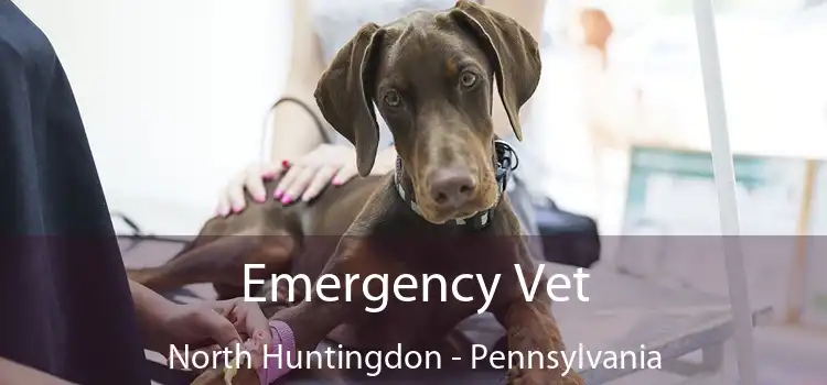 Emergency Vet North Huntingdon - Pennsylvania
