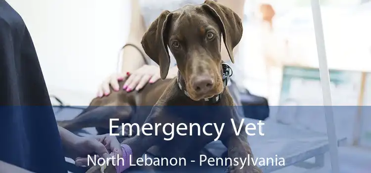 Emergency Vet North Lebanon - Pennsylvania