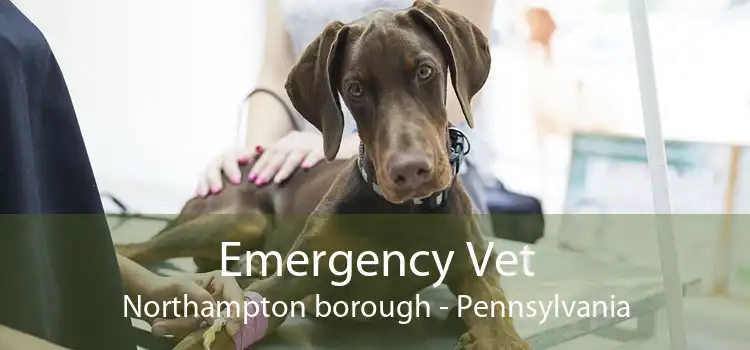 Emergency Vet Northampton borough - Pennsylvania