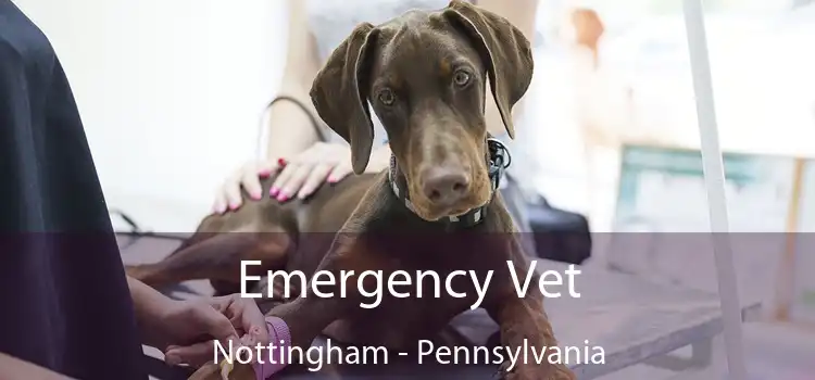 Emergency Vet Nottingham - Pennsylvania