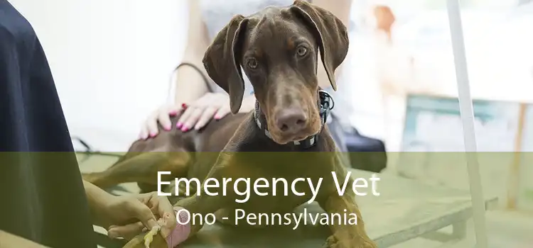 Emergency Vet Ono - Pennsylvania