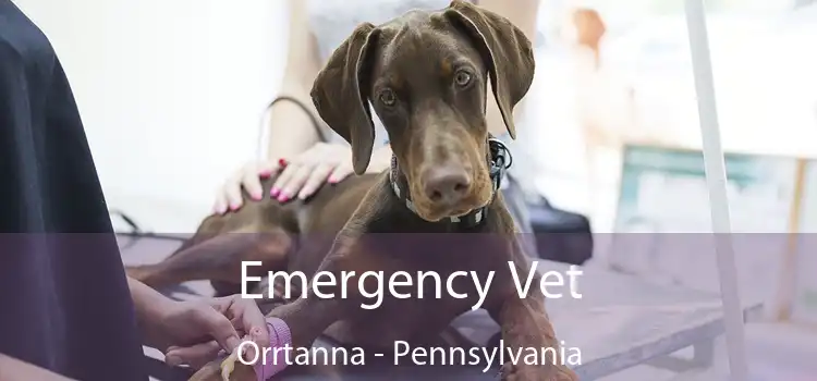 Emergency Vet Orrtanna - Pennsylvania
