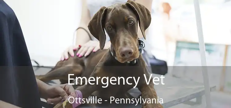 Emergency Vet Ottsville - Pennsylvania
