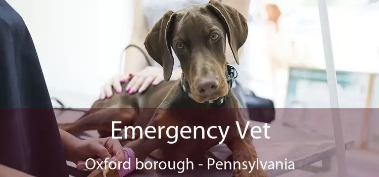 Emergency Vet Oxford borough - Pennsylvania
