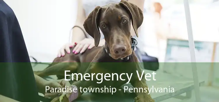 Emergency Vet Paradise township - Pennsylvania