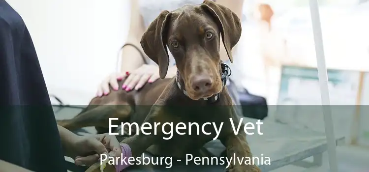Emergency Vet Parkesburg - Pennsylvania