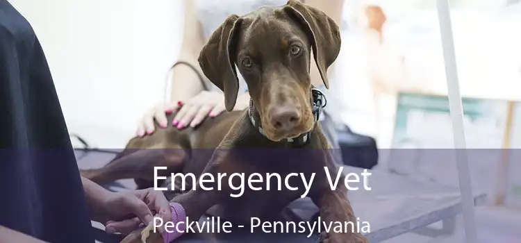 Emergency Vet Peckville - Pennsylvania
