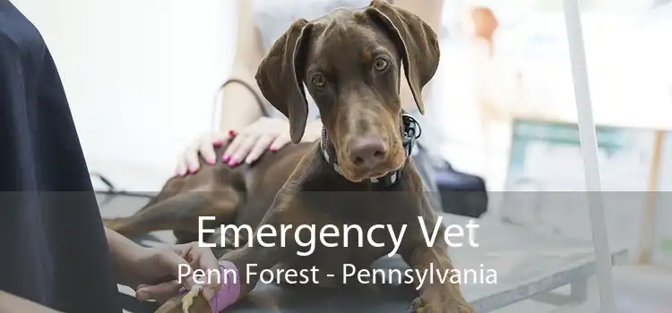 Emergency Vet Penn Forest - Pennsylvania