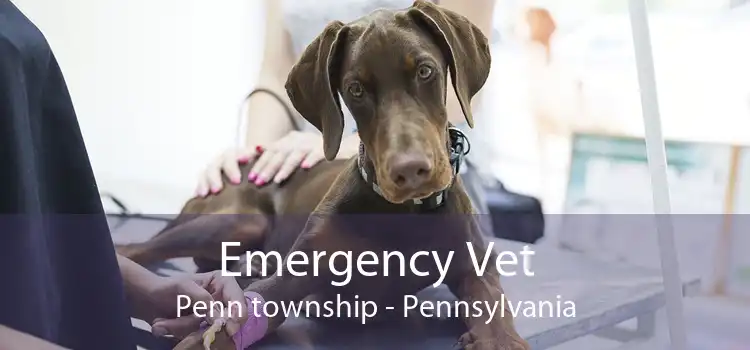 Emergency Vet Penn township - Pennsylvania