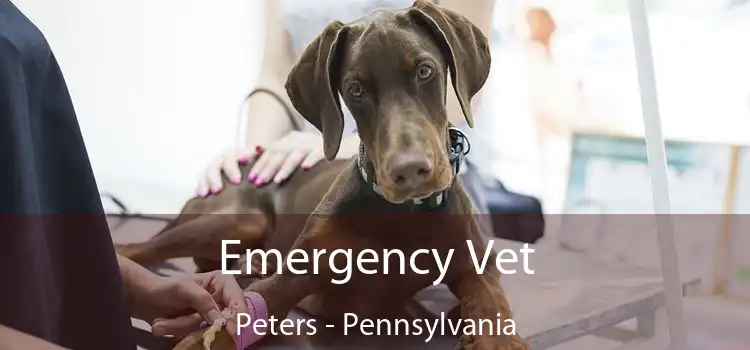 Emergency Vet Peters - Pennsylvania