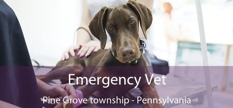 Emergency Vet Pine Grove township - Pennsylvania