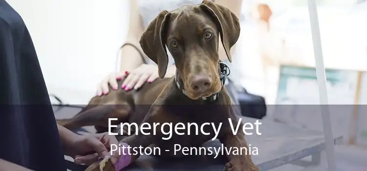 Emergency Vet Pittston - Pennsylvania