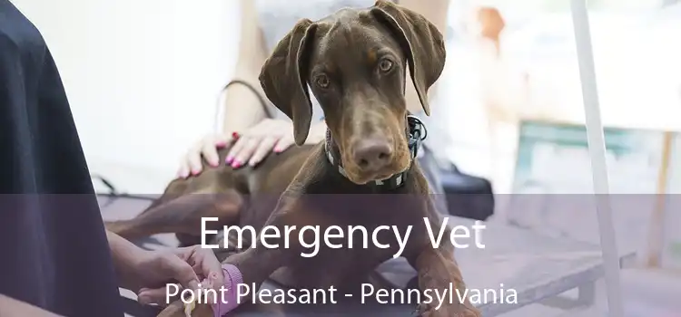 Emergency Vet Point Pleasant - Pennsylvania