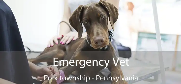 Emergency Vet Polk township - Pennsylvania