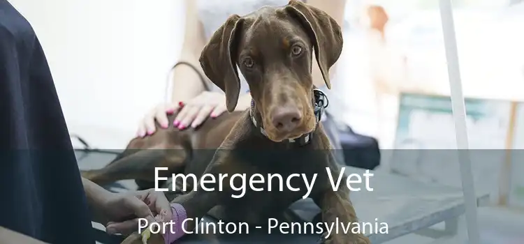 Emergency Vet Port Clinton - Pennsylvania