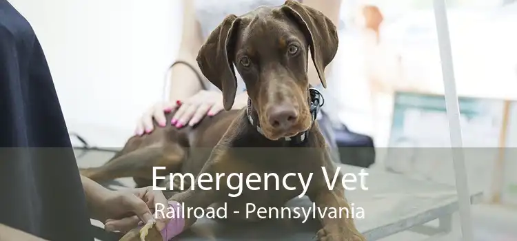 Emergency Vet Railroad - Pennsylvania