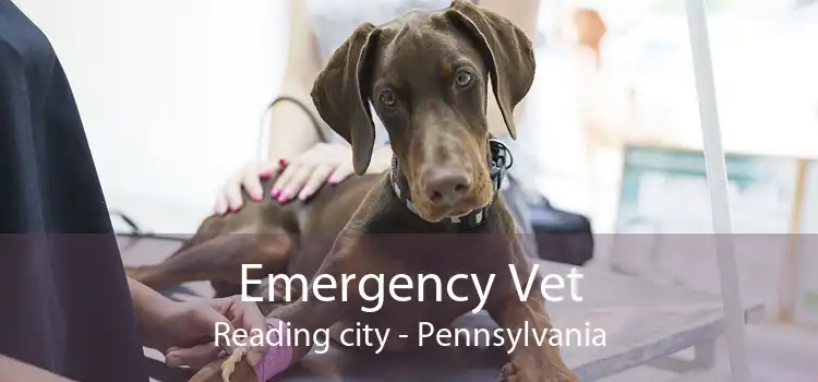 Emergency Vet Reading city - Pennsylvania