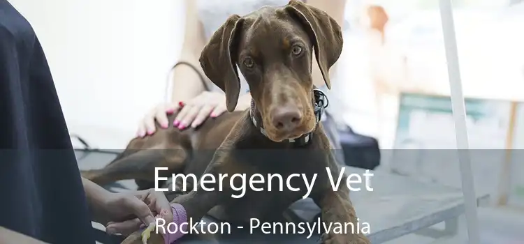 Emergency Vet Rockton - Pennsylvania