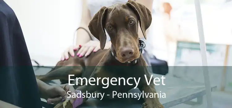 Emergency Vet Sadsbury - Pennsylvania