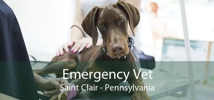 Emergency Vet Saint Clair - Pennsylvania