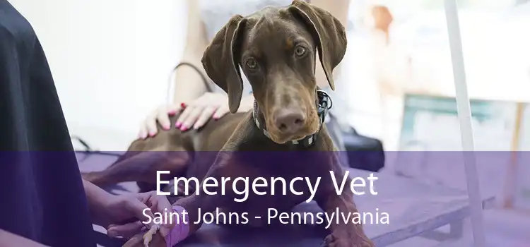 Emergency Vet Saint Johns - Pennsylvania