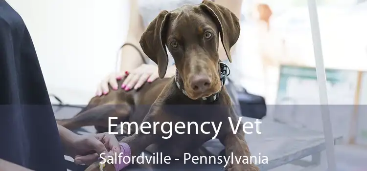 Emergency Vet Salfordville - Pennsylvania