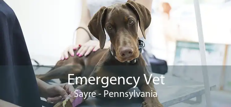 Emergency Vet Sayre - Pennsylvania