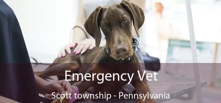 Emergency Vet Scott township - Pennsylvania