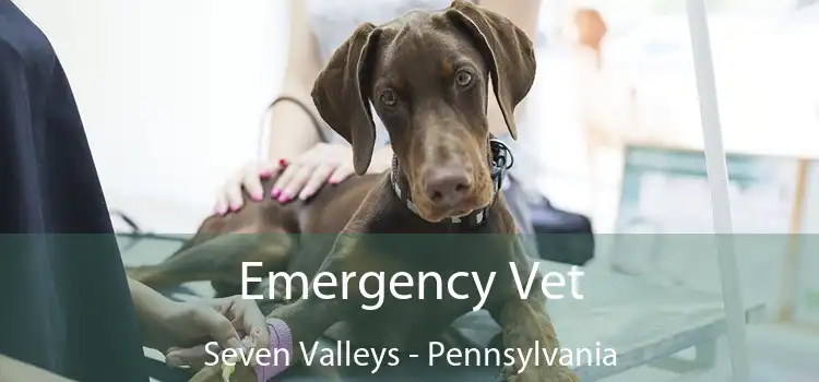 Emergency Vet Seven Valleys - Pennsylvania