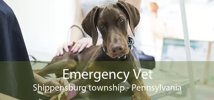 Emergency Vet Shippensburg township - Pennsylvania