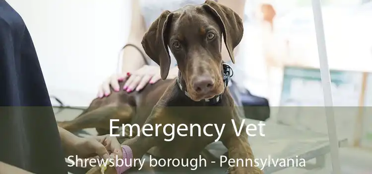 Emergency Vet Shrewsbury borough - Pennsylvania