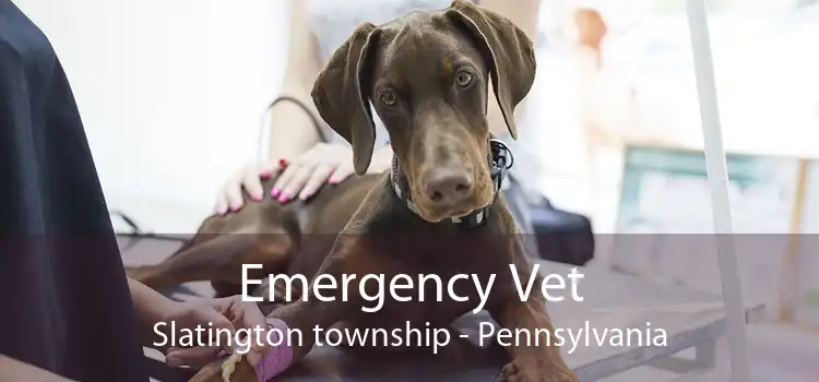 Emergency Vet Slatington township - Pennsylvania