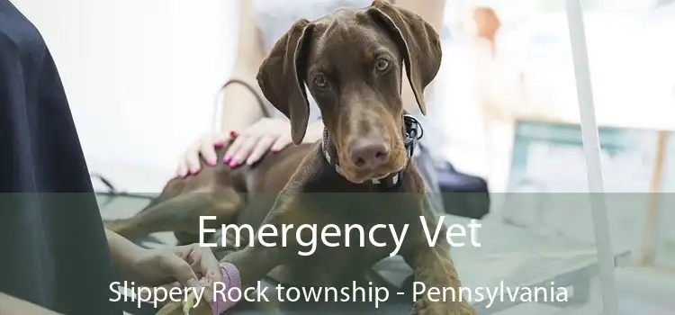 Emergency Vet Slippery Rock township - Pennsylvania