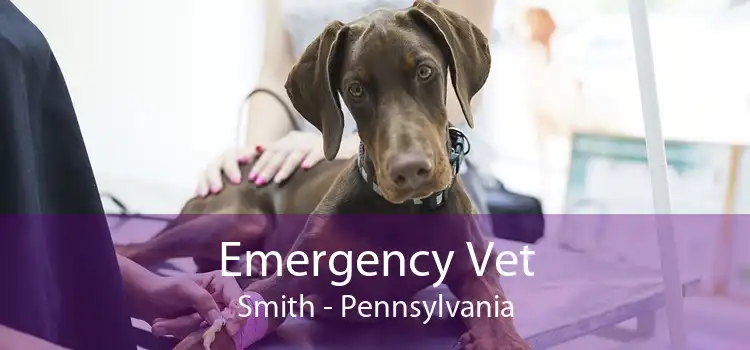 Emergency Vet Smith - Pennsylvania