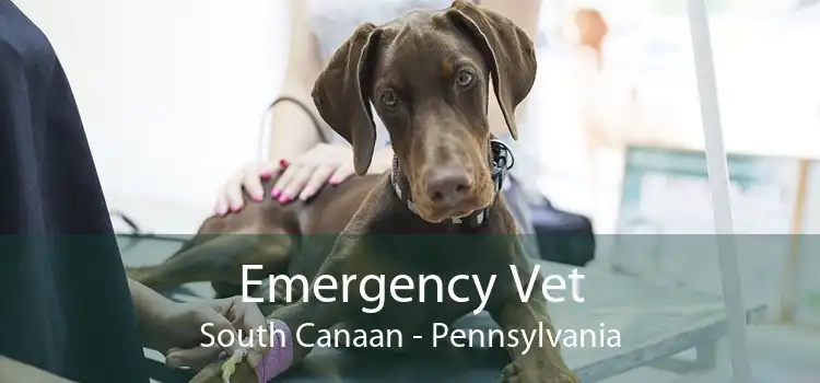 Emergency Vet South Canaan - Pennsylvania