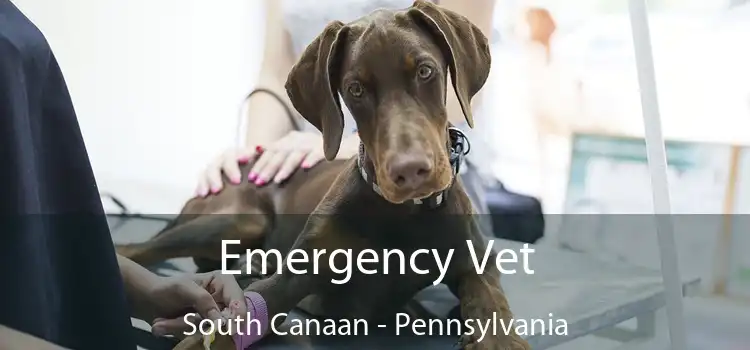 Emergency Vet South Canaan - Pennsylvania