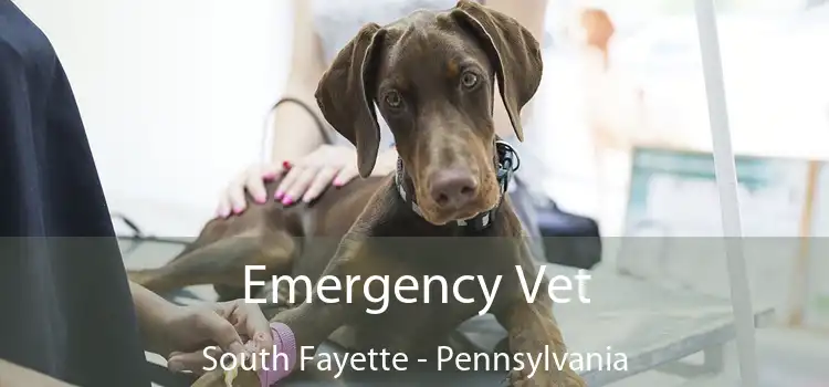 Emergency Vet South Fayette - Pennsylvania