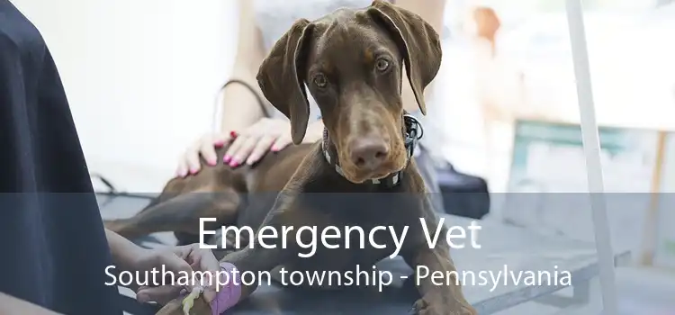 Emergency Vet Southampton township - Pennsylvania