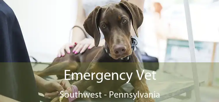 Emergency Vet Southwest - Pennsylvania