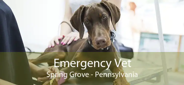 Emergency Vet Spring Grove - Pennsylvania