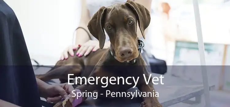 Emergency Vet Spring - Pennsylvania