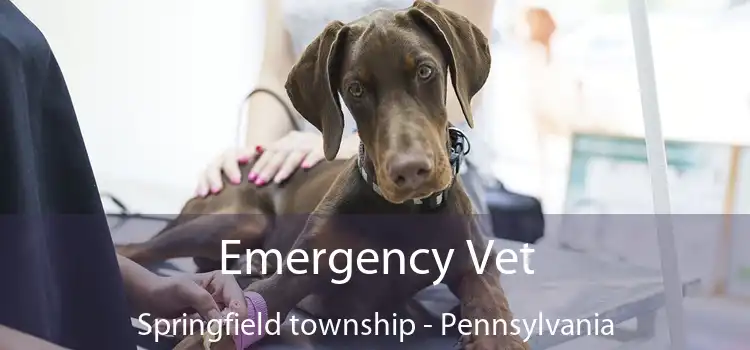 Emergency Vet Springfield township - Pennsylvania