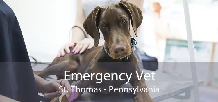 Emergency Vet St. Thomas - Pennsylvania
