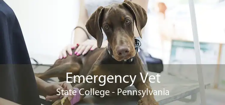 Emergency Vet State College - Pennsylvania