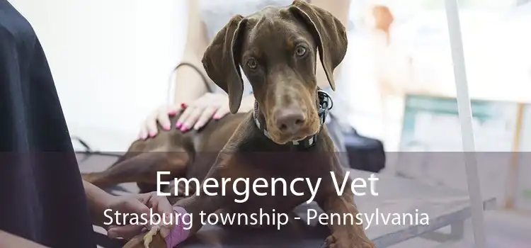 Emergency Vet Strasburg township - Pennsylvania