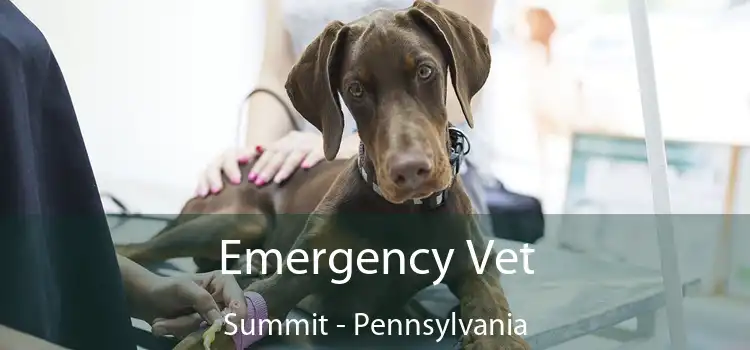 Emergency Vet Summit - Pennsylvania