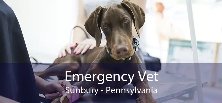 Emergency Vet Sunbury - Pennsylvania
