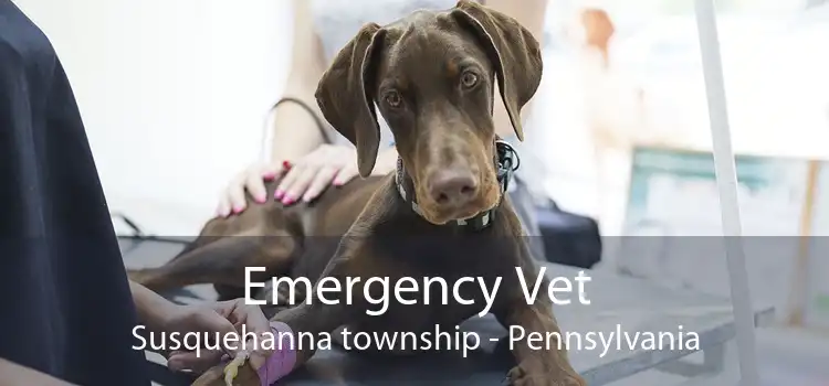 Emergency Vet Susquehanna township - Pennsylvania