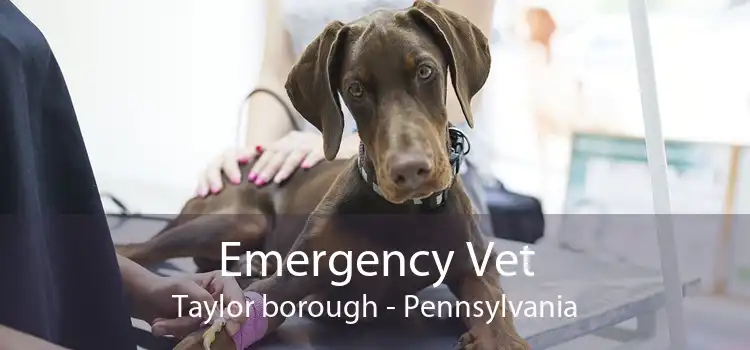 Emergency Vet Taylor borough - Pennsylvania