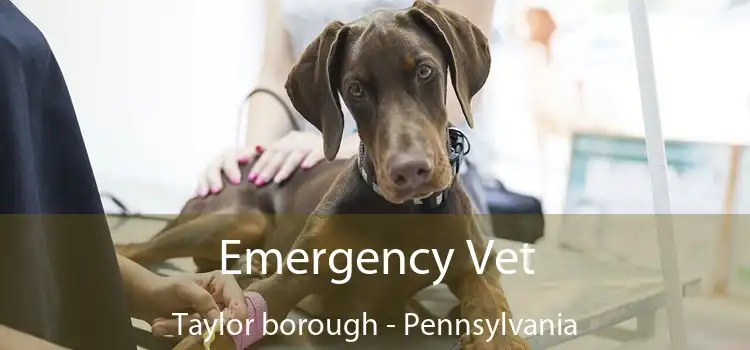 Emergency Vet Taylor borough - Pennsylvania
